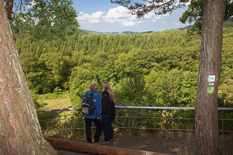 Der Westerwaldsteig ist bei der Aktion 10 Jahre Qualittswege Wanderbares Deutschland mit dabei. Foto: Wolfgang Tischler