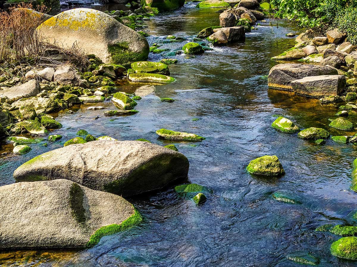 Familien-Wanderung in Limbach: Ein Bachabenteuer mit Wanderfhrerin Stefanie Hentrich