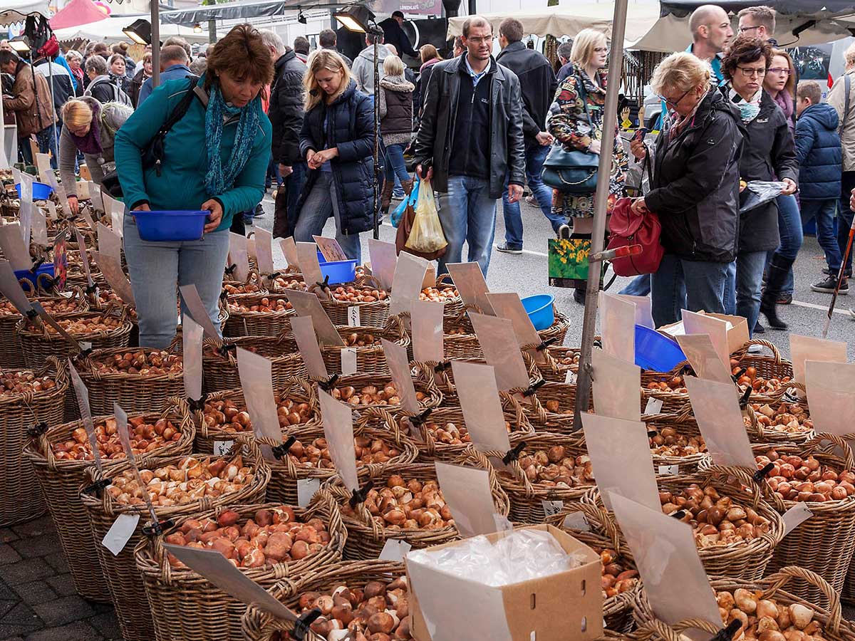 Endlich wieder der gewohnte Katharinenmarkt in Hachenburg