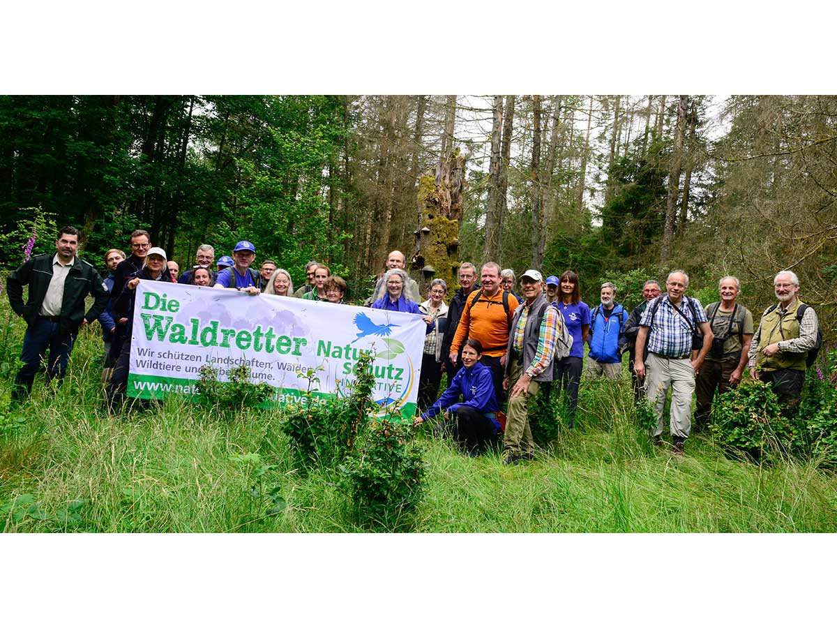 Exkursionsteilnehmer in der Waldwildnis des Nationalen Naturerbe Stegskopf. (Foto: Harry Neumann/NI)