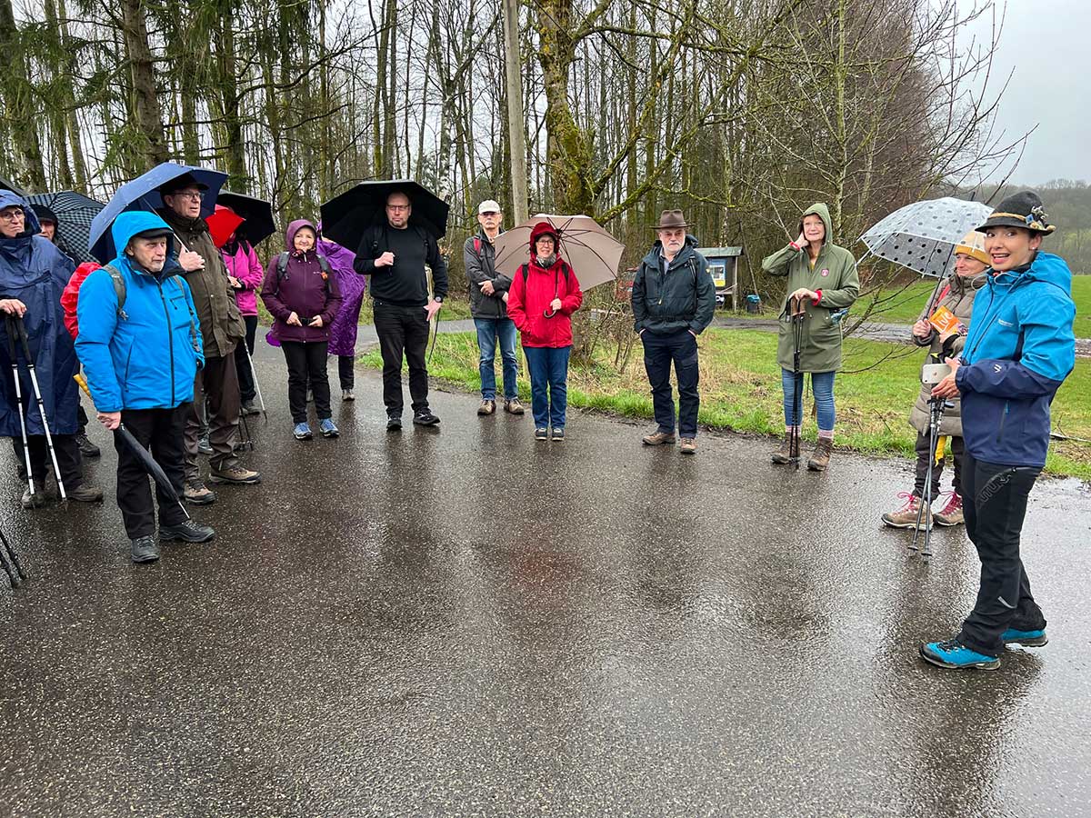 Auftakt beim WWV: Wandern bei Schmuddelwetter - Schnwetter-Wandern kann jeder