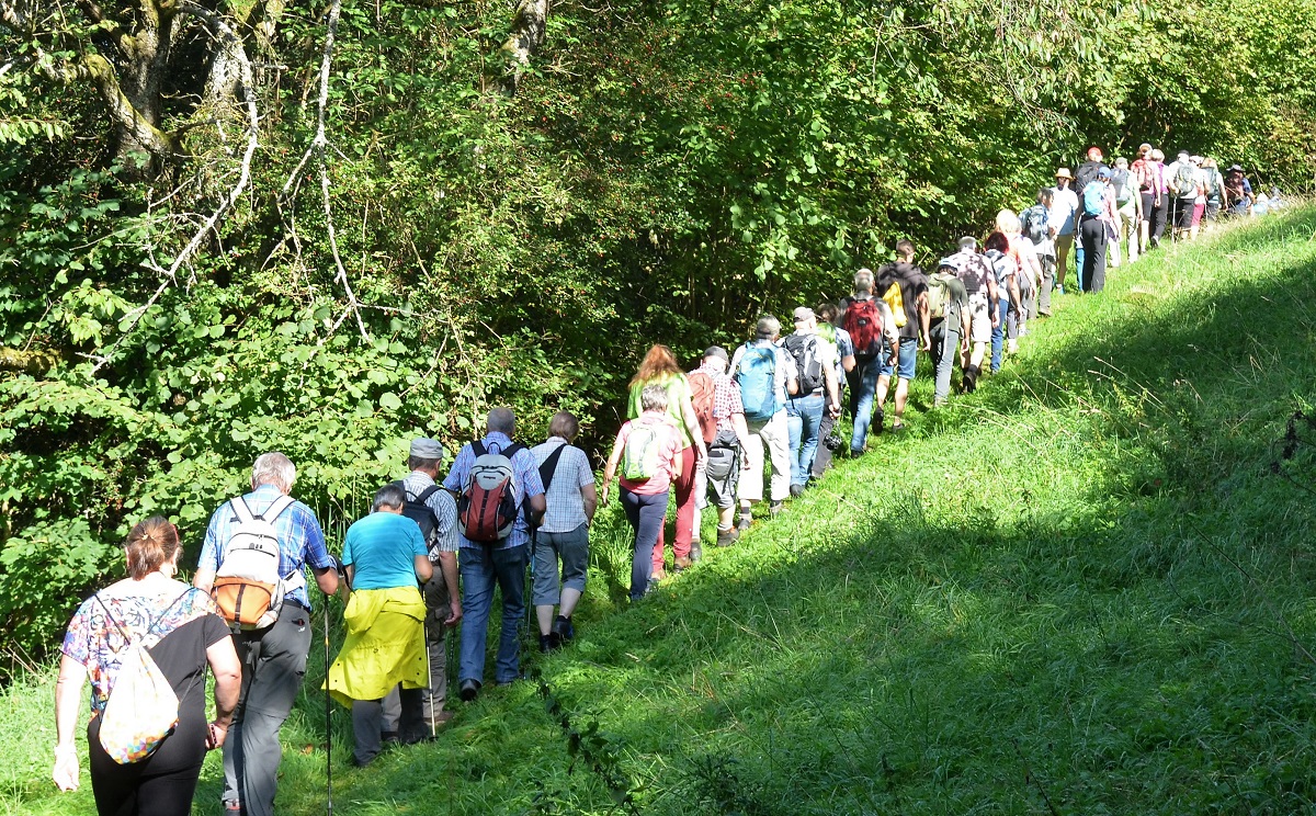 Beim Westerwald-Verein kann man sich im nchsten Jahr zum zertifizierten Wanderfhrer ausbilden lassen. (Foto: Markus Mller)