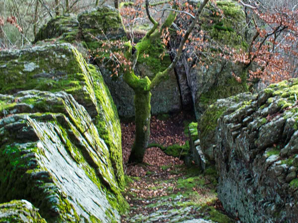 Gefhrte Wanderung zu ehemaligem Lustschloss und einer Burg, die nie vollendet wurde 