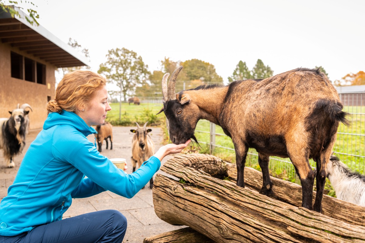 Entdeckungsreisen durch Natur und Geschichte in Bad Marienberg
