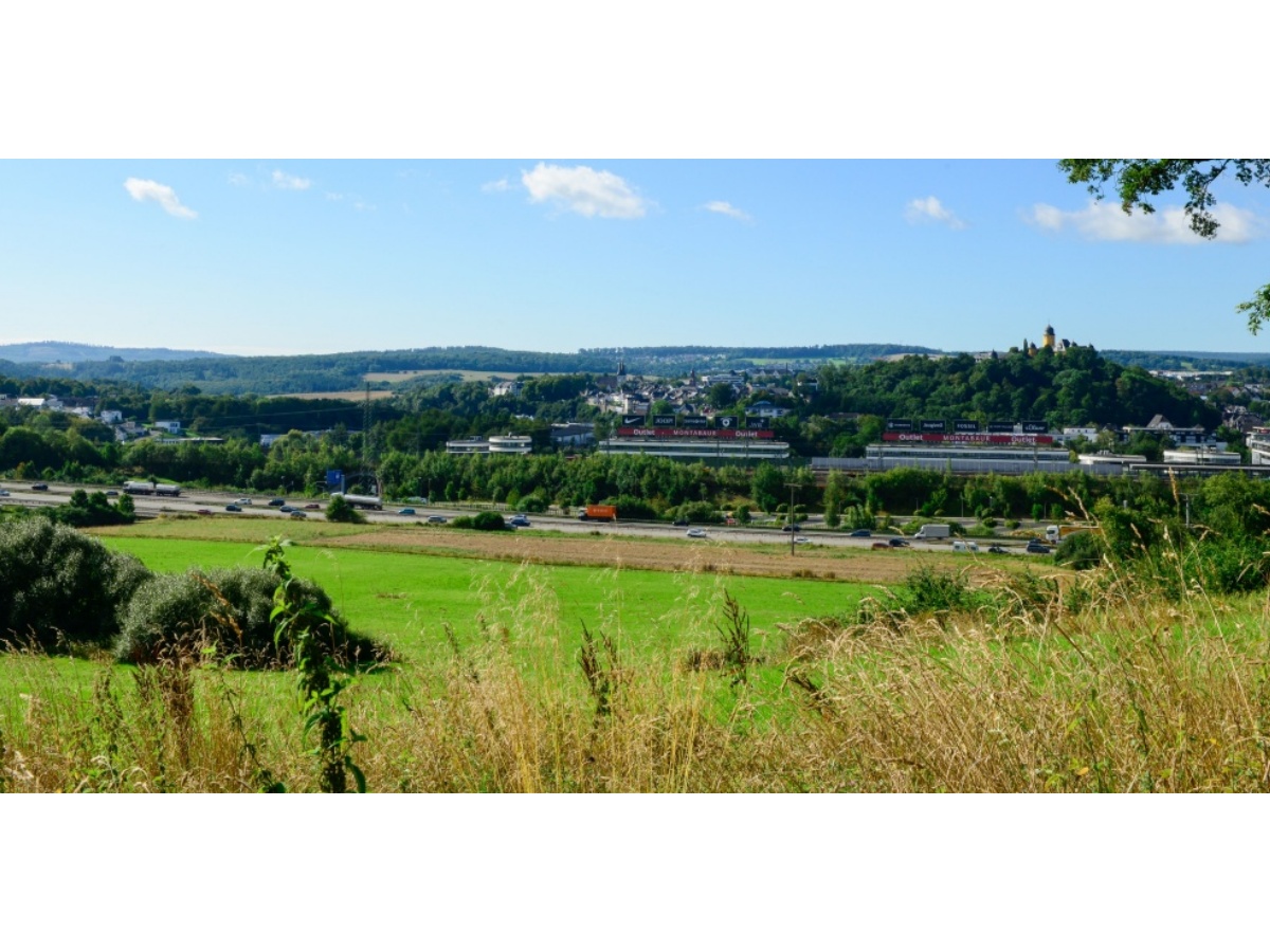 Blick von der Nelkenstrae/Beulkpfchen: Rechts Schloss Montabaur und das FOC mit seinen berdimensionierten Werbetafeln, links das Wohngebiet Kesselwiese mit dem davor liegenden Grnzug und dem zu erhaltenden Biotopkomplex. (Foto: Harry Neumann)