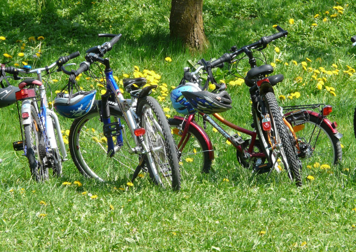 Die schnsten Radtouren direkt im Westerwald beginnen: Bequem unterwegs mit RadBussen 