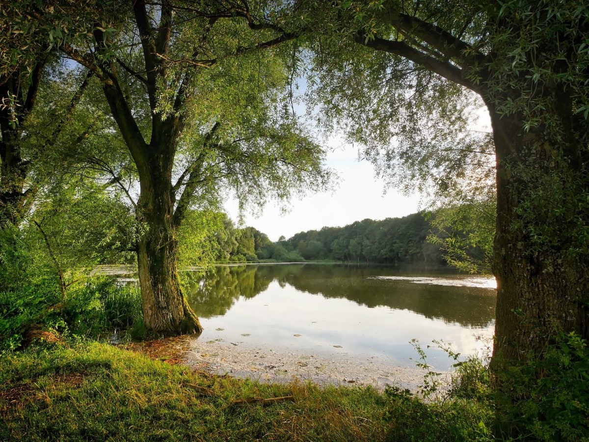 Klimaschutzministerium frdert Sanierungsmanahmen am Dreifelder Weiher mit rund 1,7 Millionen Euro