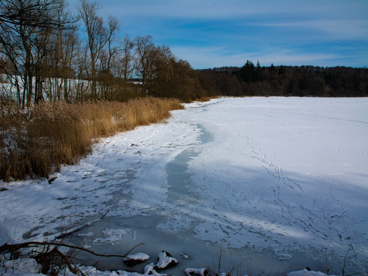 NABU-Gruppe Hundsangen ldt ein: Winterwanderung an der Westerwlder Seenplatte