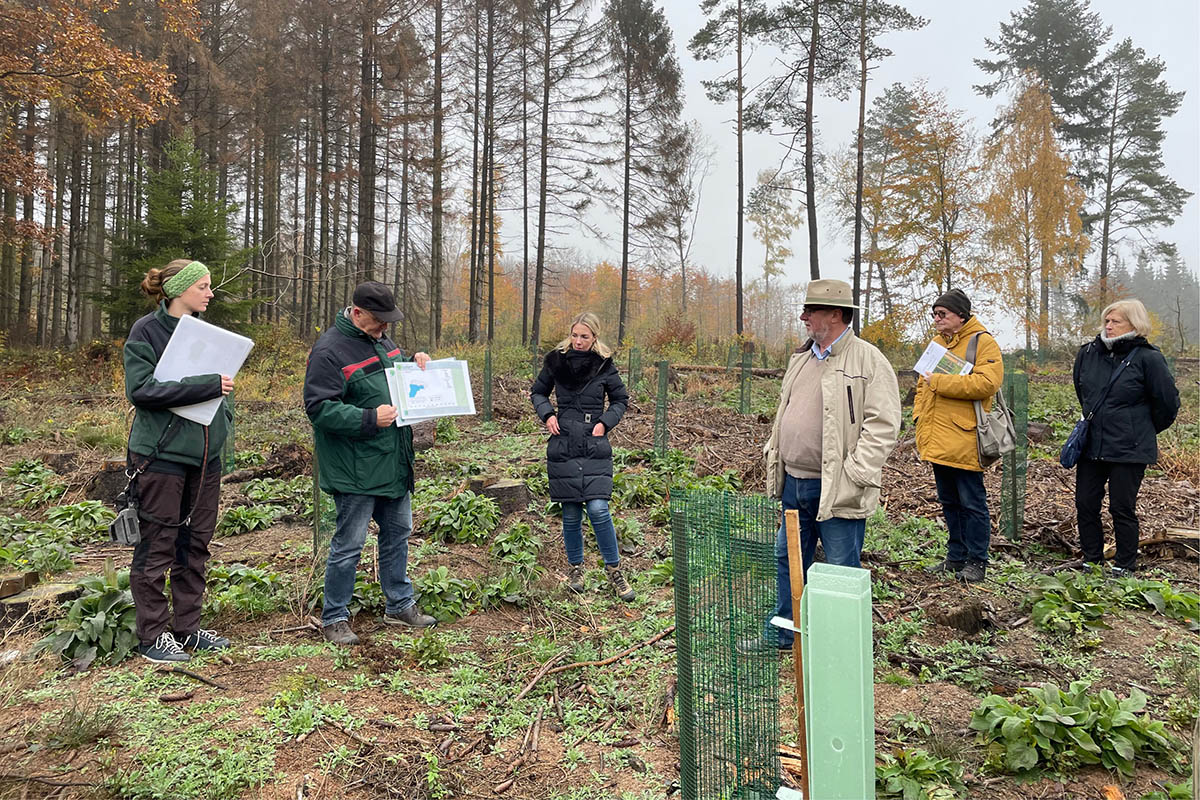 Demuth: Waldbegehung mit Frstern zeigt Schden und Lsungsmglichkeiten auf 