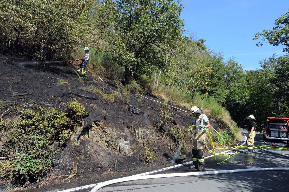 Die Bschung an der K 61 brannte. (Bilder: kk)