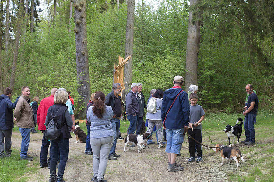 Wanderung im "Brckrachdorfer Stadtwald" 