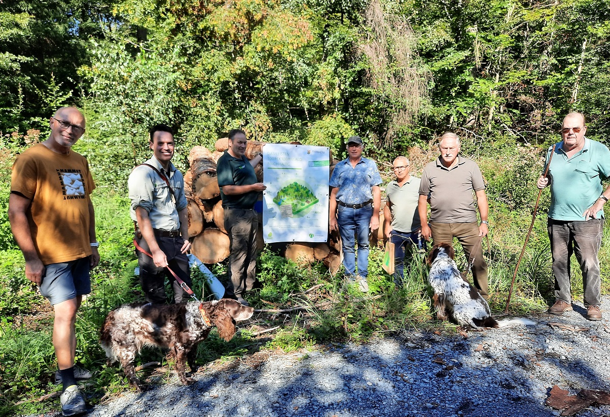 Wald und Klimawandel am Beispiel des Staatswaldes in Obersteinebach