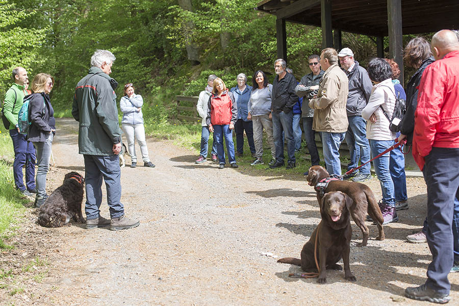 Wanderung mit Revierfrster im Stadtwald Dierdorf