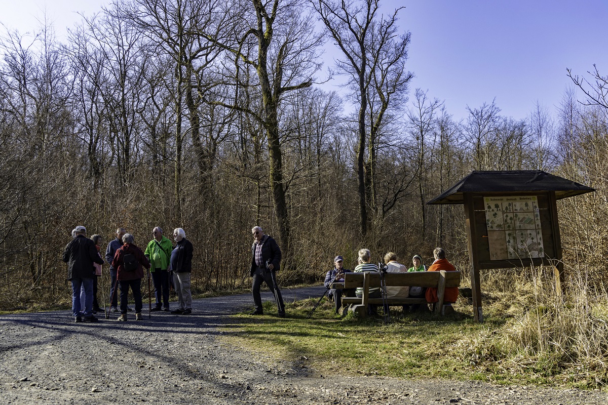 Sonntagswanderung des Westerwaldverein Bad Marienberg e.V. in Hachenburg