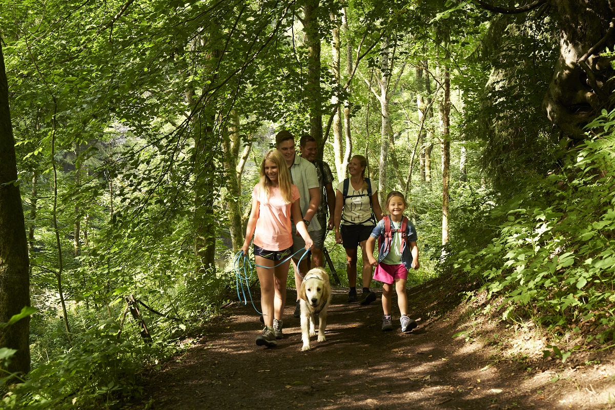 Wanderung fr Familien und gefhrte E-Bike-Tour in Bad Marienberg