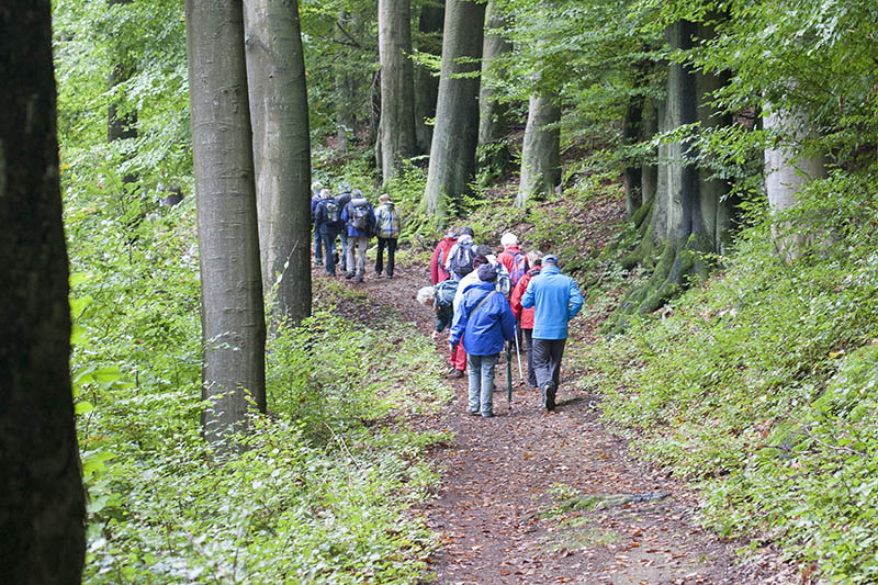 Naturpark Wandertag Niederbreitbach Nach Verscheid Und über Das ...