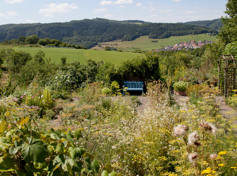 Waldbreitbacher Klostergarten: Kruterwanderungen im Juli