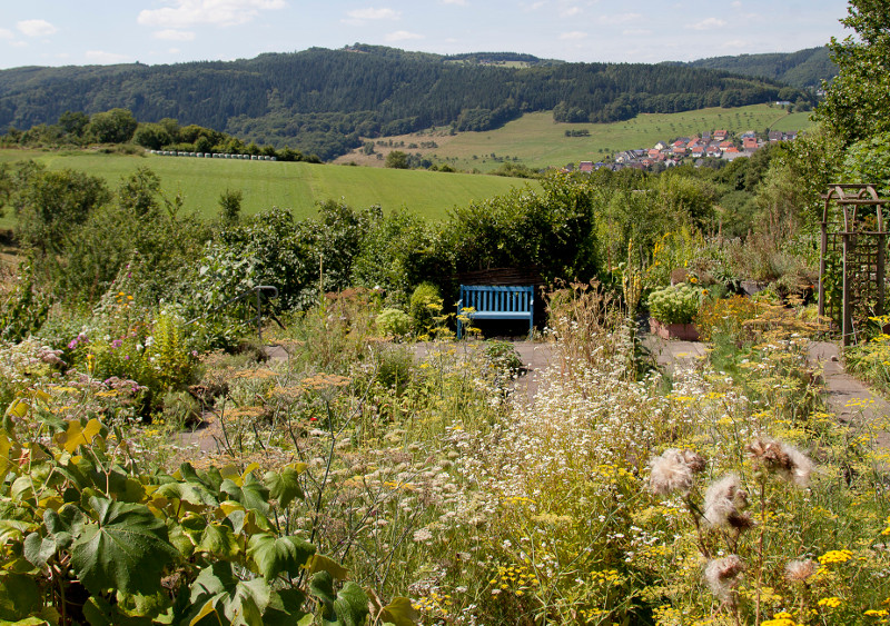 Natur neu erfahren bei der Kruterwanderung