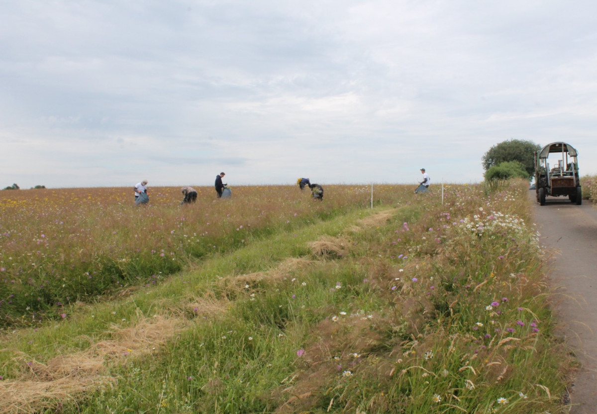 An der Aktion hat sich eine kleine Gruppe von Helfern beteiligt. (Foto: Grnen Westerburg/Wallmerod)