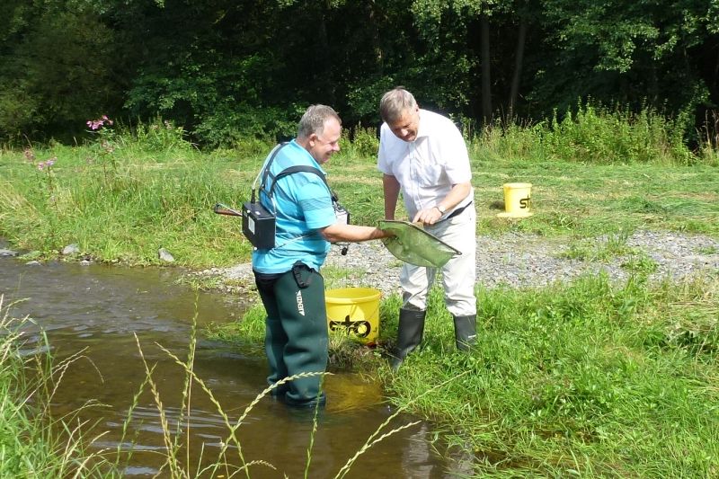 Wiesenbewsserungsgraben an der Nister reaktiviert 