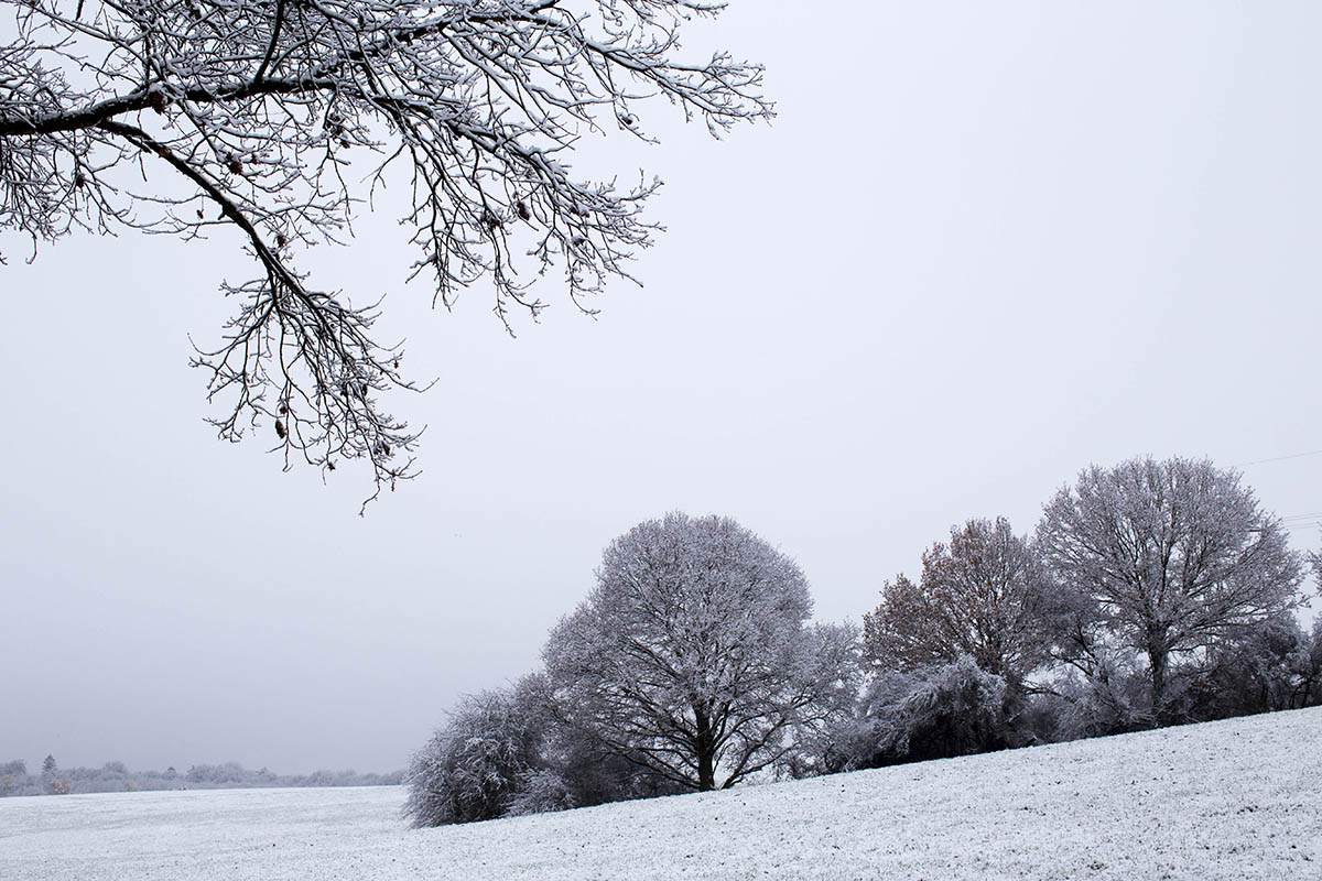 Der Schnee der letzten Tage hat die Landschaft verzaubert. Foto: Wolfgang Tischler