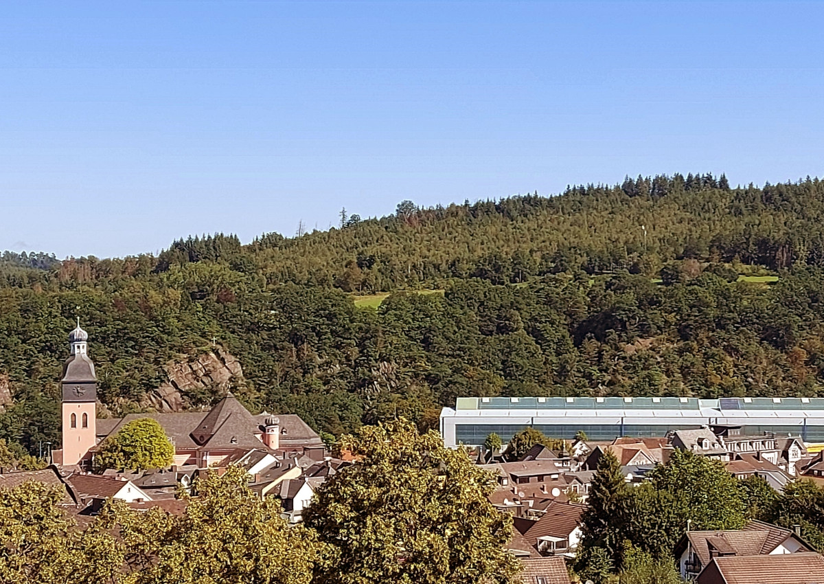 Gefhrte Wanderung ber den Kucksberg. (Foto: Wisserland-Touristik)