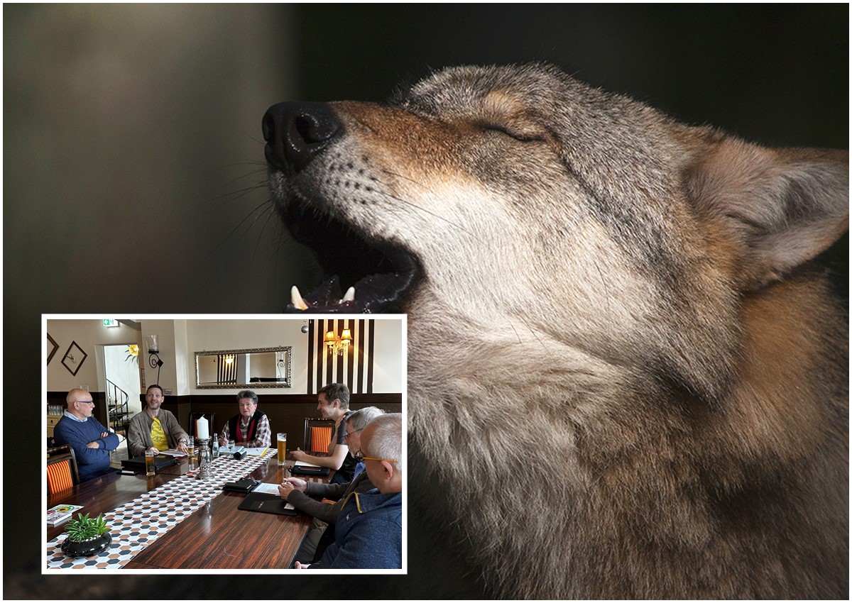 Rund um den Wolf ging es beim Treffen der Bndnisgrnen in Wissen
