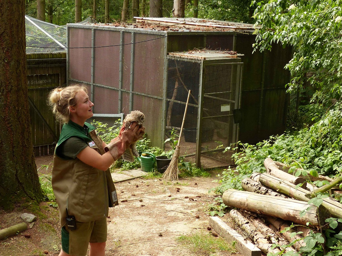 Artenschutz im Zoo Neuwied  Sonderfhrung der kvhs