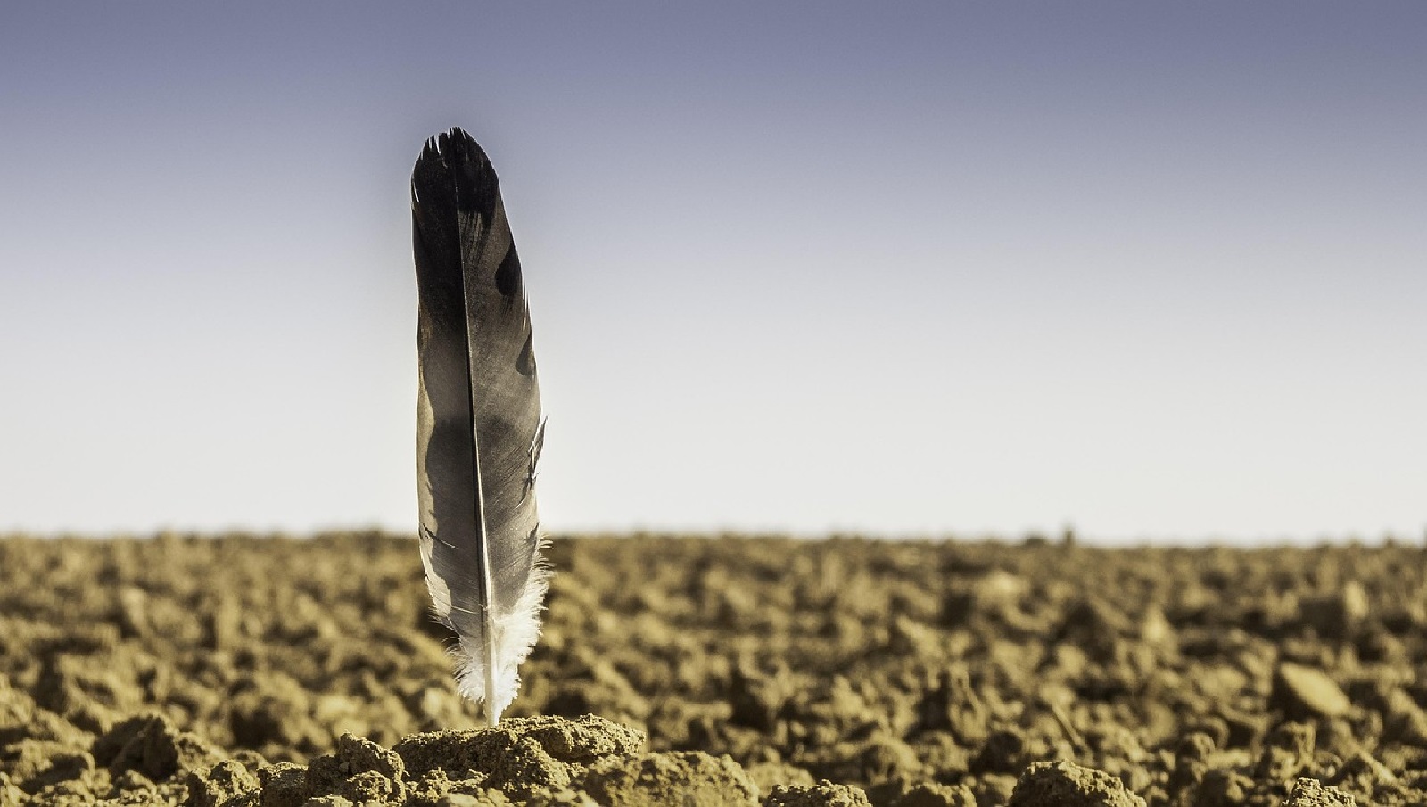 Frostsprengung: Wie kalte Nchte den Boden auflockern