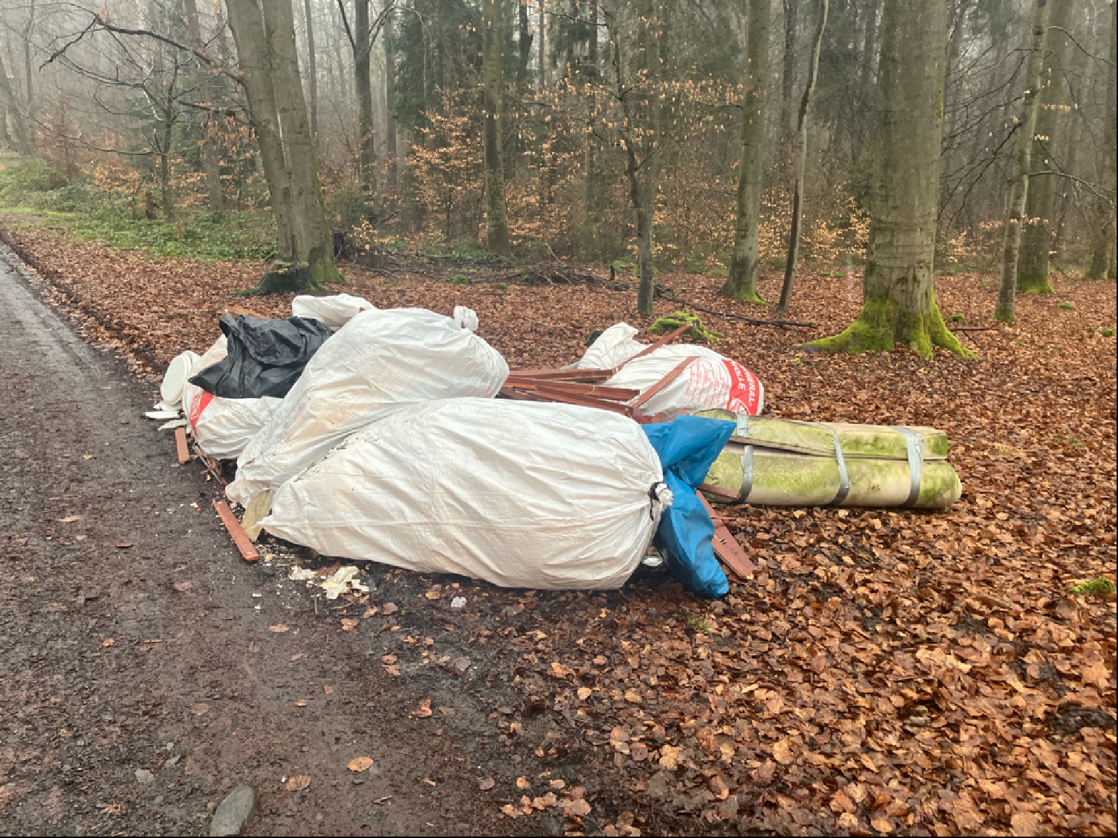 Bad Honnef: Illegale Mllentsorgung im Naturschutzgebiet entdeckt