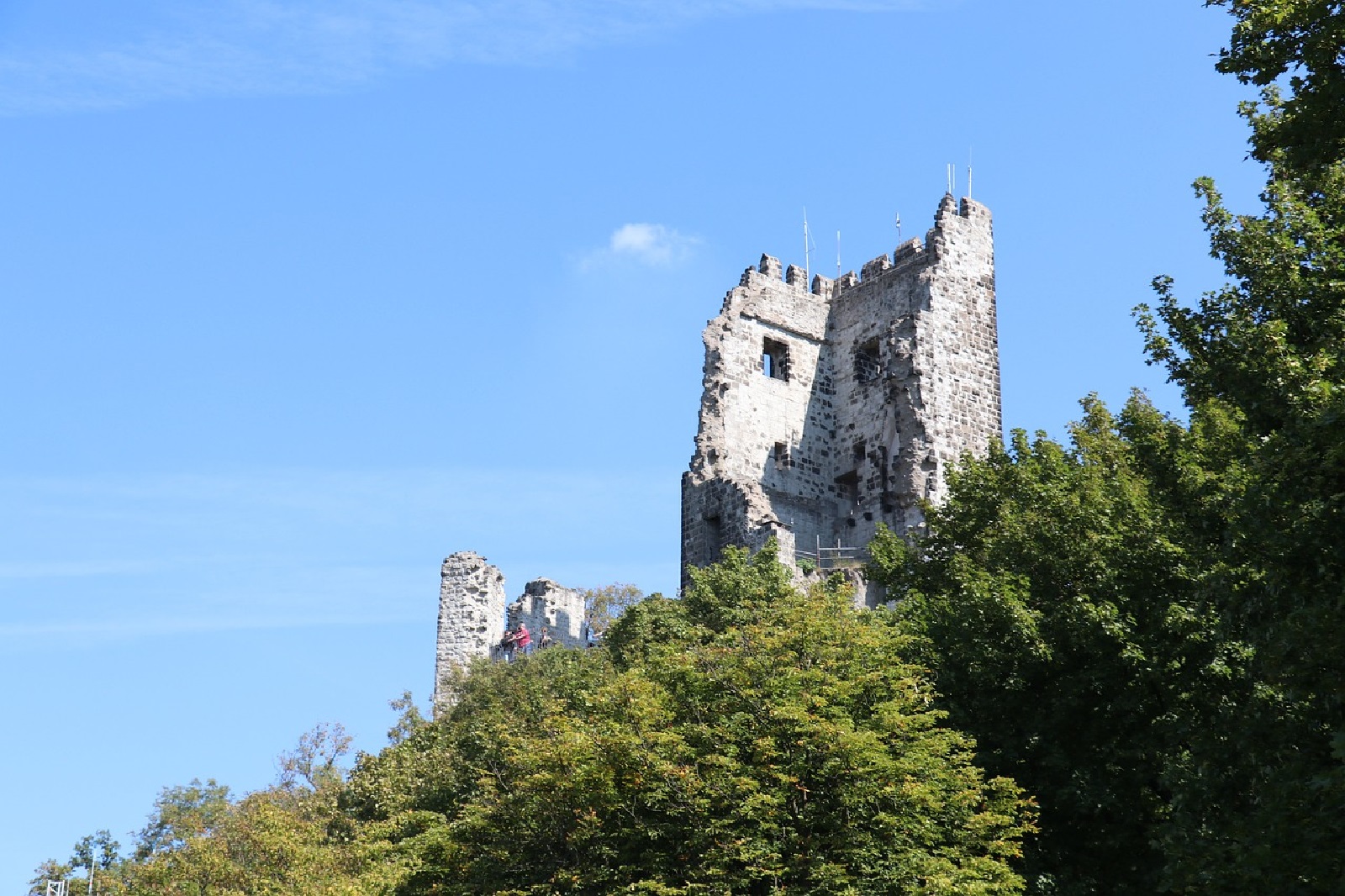 Menschliches Skelett: Mysteriser Knochenfund am Drachenfels aufgeklrt