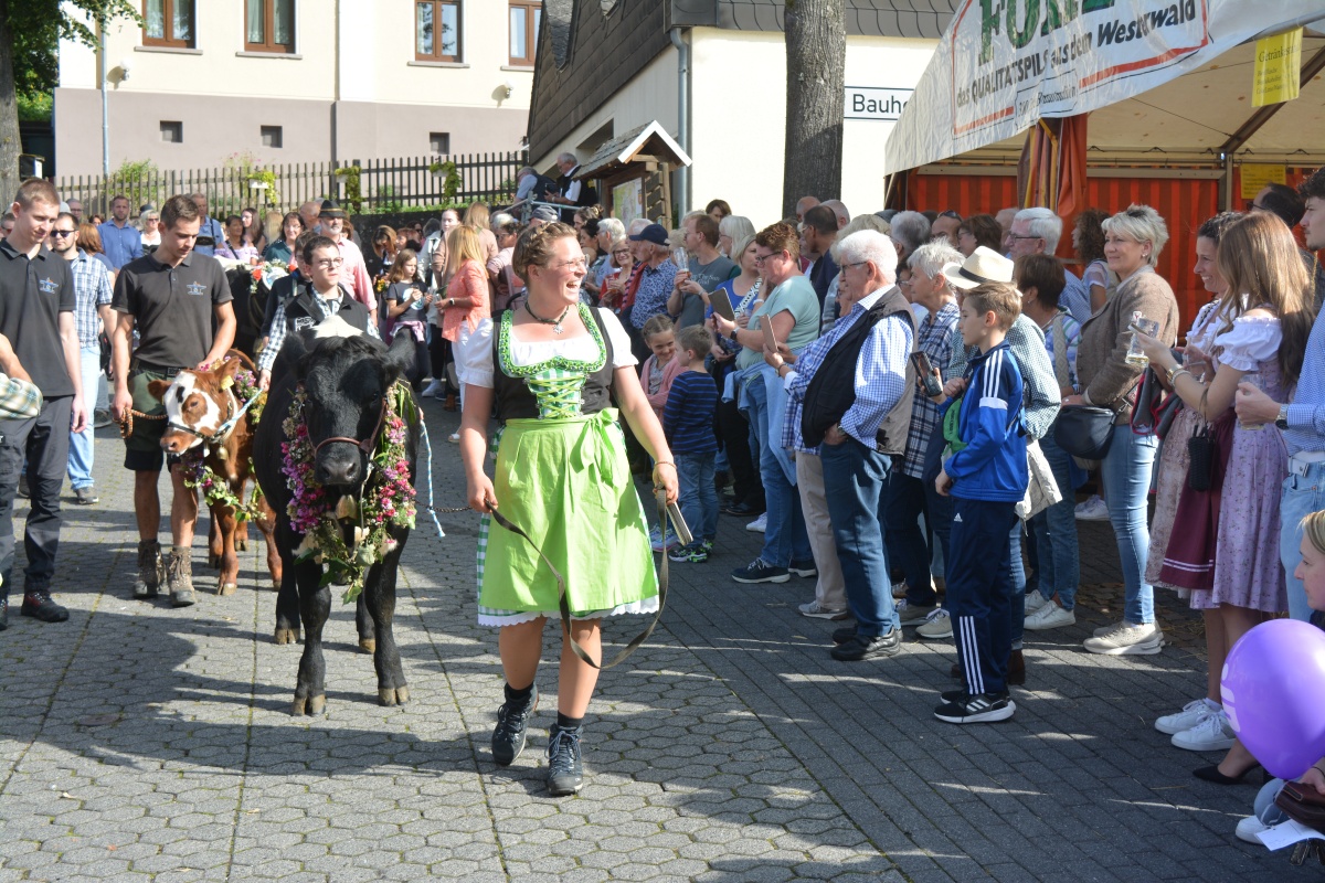 Tausende Besucher beim Almabtrieb in Niederelbert