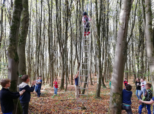 Wo die eigene Hhen-Grenze lag, das entschied beim Abenteuertag mit Wildniscoach Tobias Ohmann in Nauroth jedes Kind selbst. (Foto: privat)