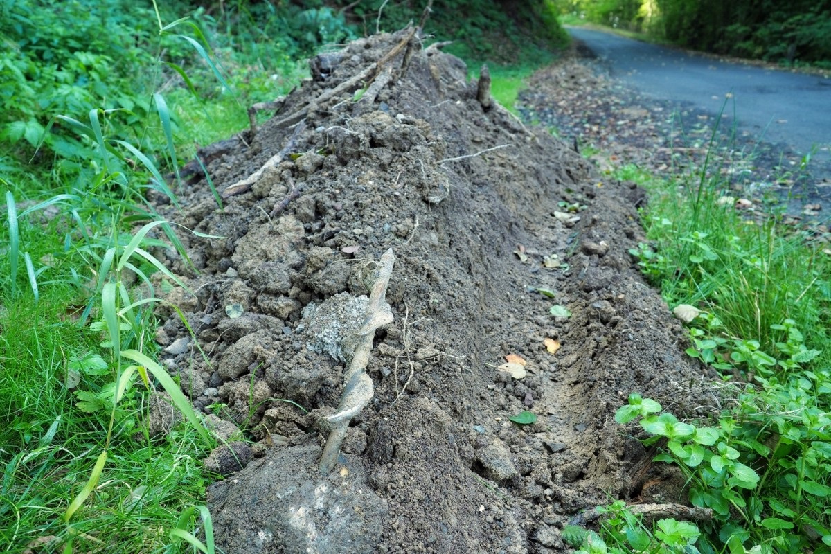 (Fotoquelle: Verbandsgemeinde Altenkirchen-Flammersfeld)