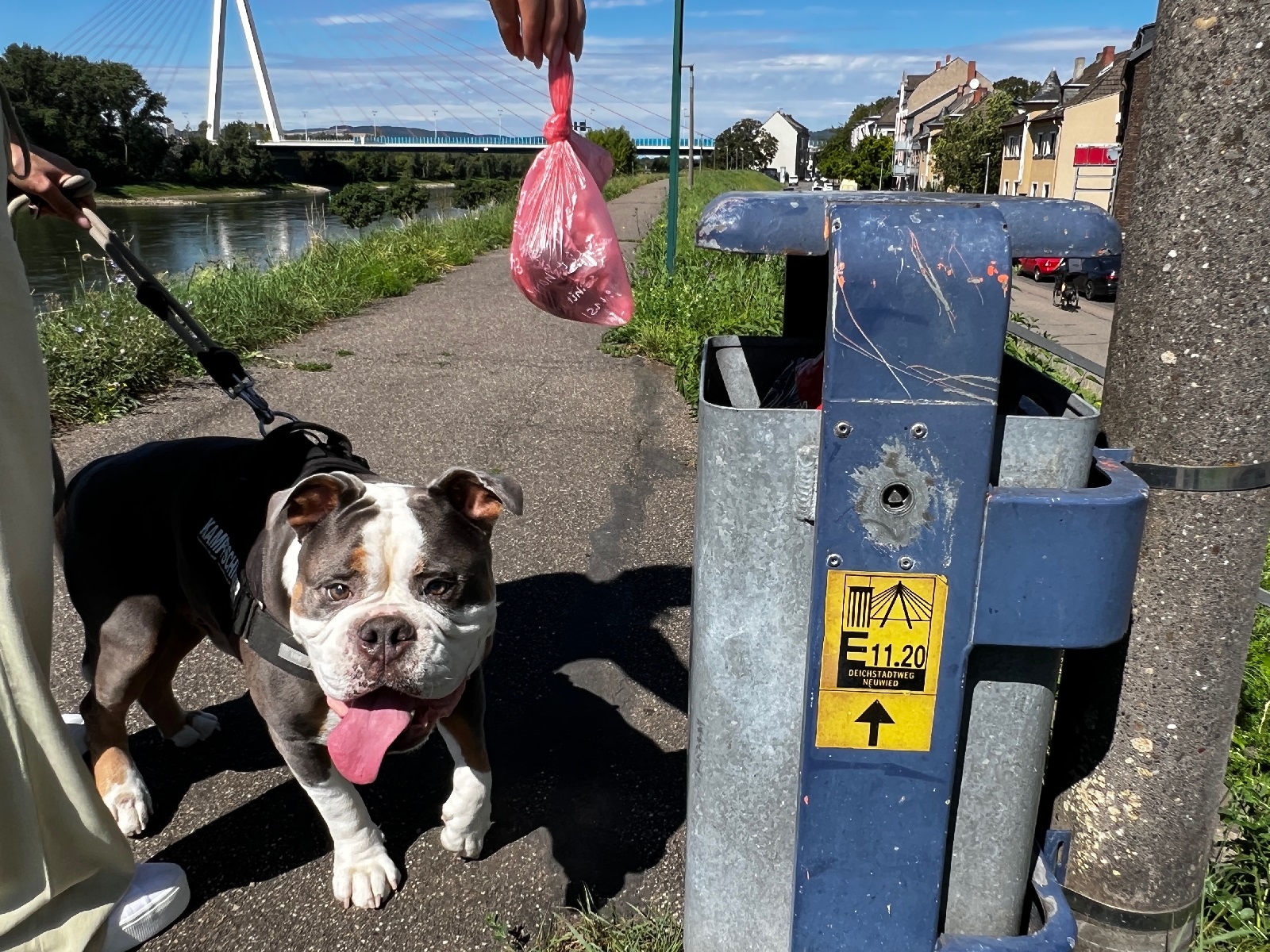 Richtig gemacht: Tretminen entsorgen und Knoten auf den Hundekotbeutel, damit es bei sommerlichen Temperaturen nicht stinkt. Aber: Kinderspielpltze und - wie hier - der Deich sind fr die Vierbeiner tabu. (Foto: Gerd Neuwirth)