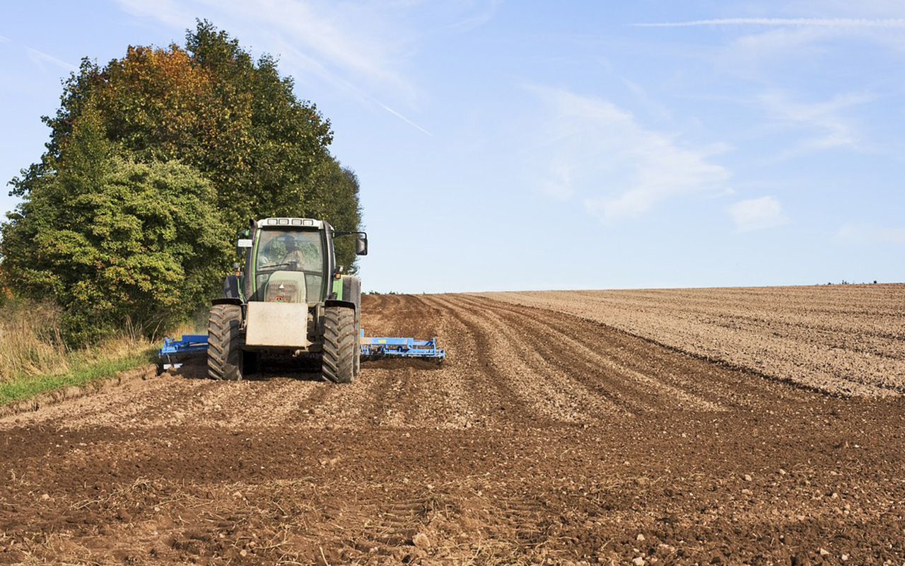 Erwin Rddel: Ampel-Regierung verpasst Landwirten Schlge ins Gesicht