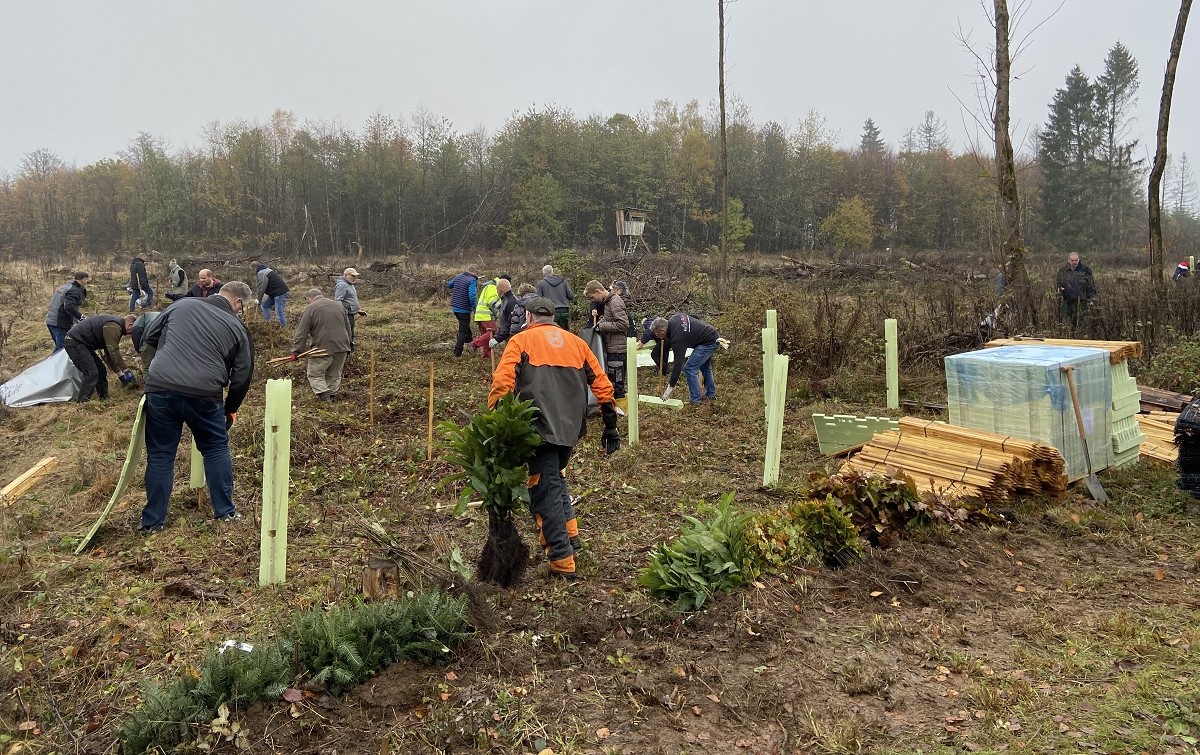 In Langenhahn entsteht "AKM-Tore Wald" mit mehr als 2.000 Bumen