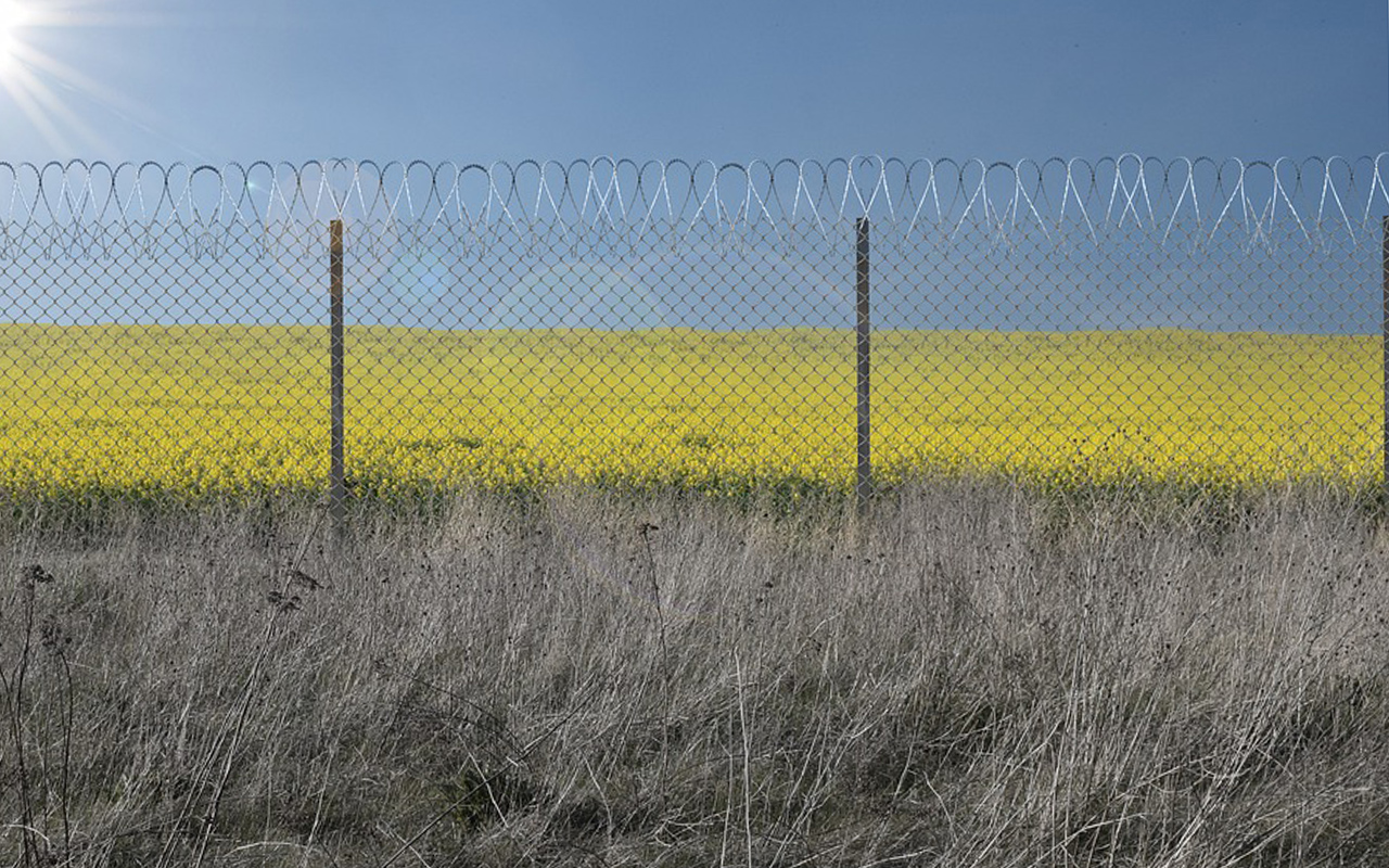 Ausstellung in Altenkirchen gibt Einblick in die Arbeit von Amnesty International