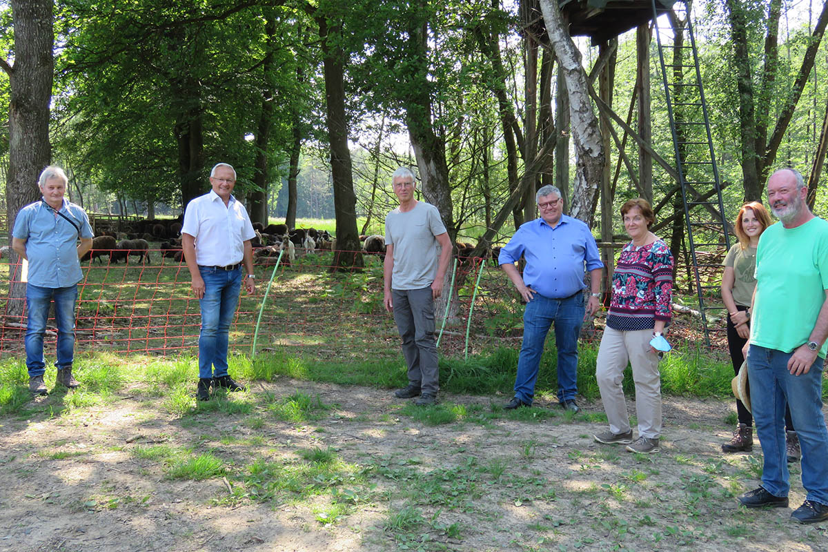 Im Buchholzer Moor wachsen zahlreiche gefhrdete Pflanzenarten