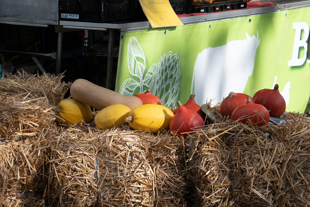 Regionalmarkt Flammersfeld 2024: Handwerkskunst, Kulinarik und regionale Vielfalt