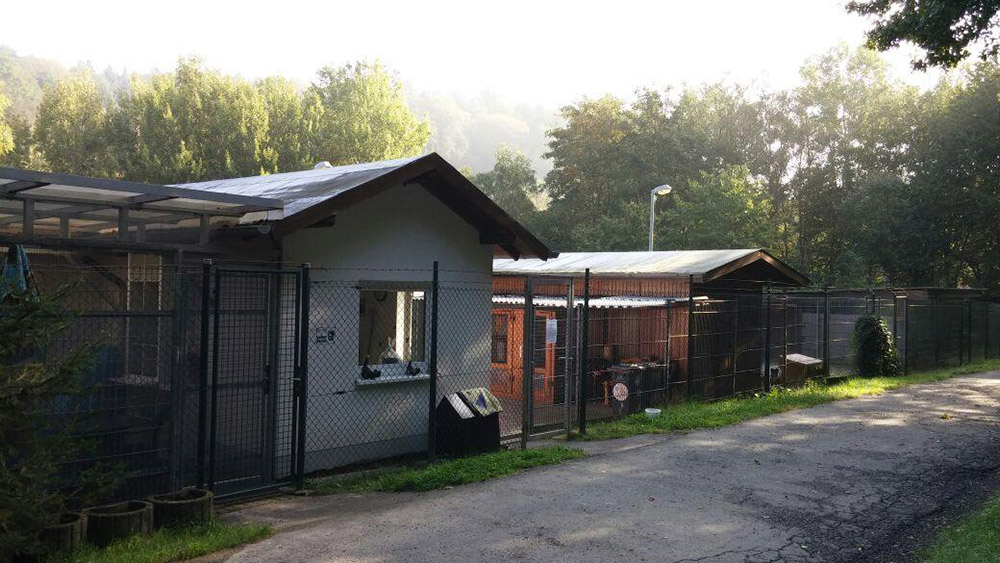 Tierheimfest in Ransbach-Baumbach  heimischer Rock am neuen Tierheim