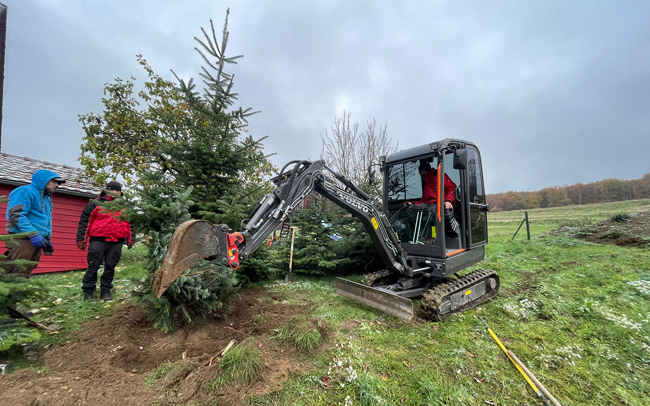 Herkersdorf und Offhausen pflanzen gemeinsamen Weihnachtsbaum