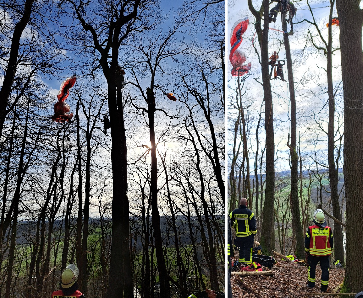 Hoch oben im Gest hing der Paraglider fest. (Fotos: Feuerwehr VG Rengsdorf-Waldbreitbach)