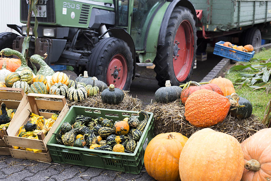 Jetzt zum Bauernmarkt in Meinborn anmelden