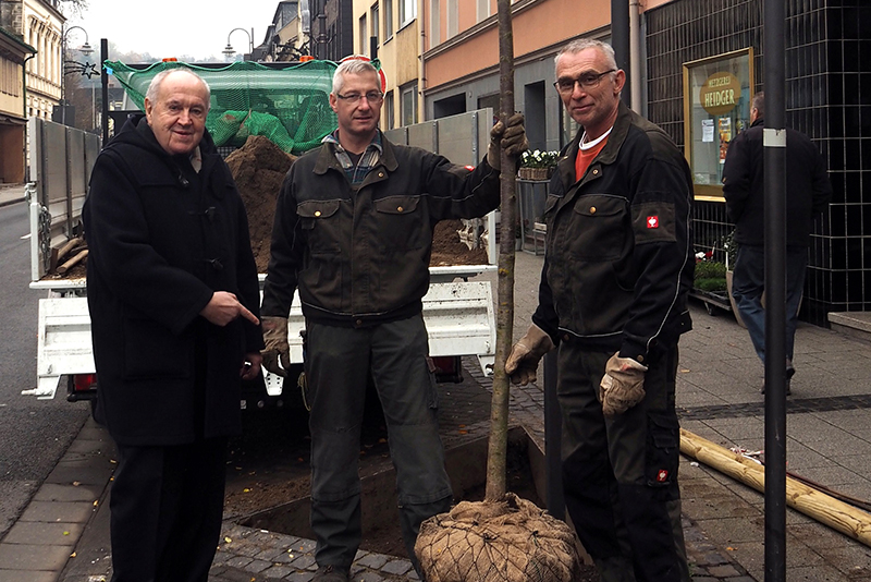 Erster Beigeordneter Bernhard Wiemer freut sich, dass die Stadtgrtner neue Bume in der Innenstadt pflanzen. Foto: Stadt Bendorf