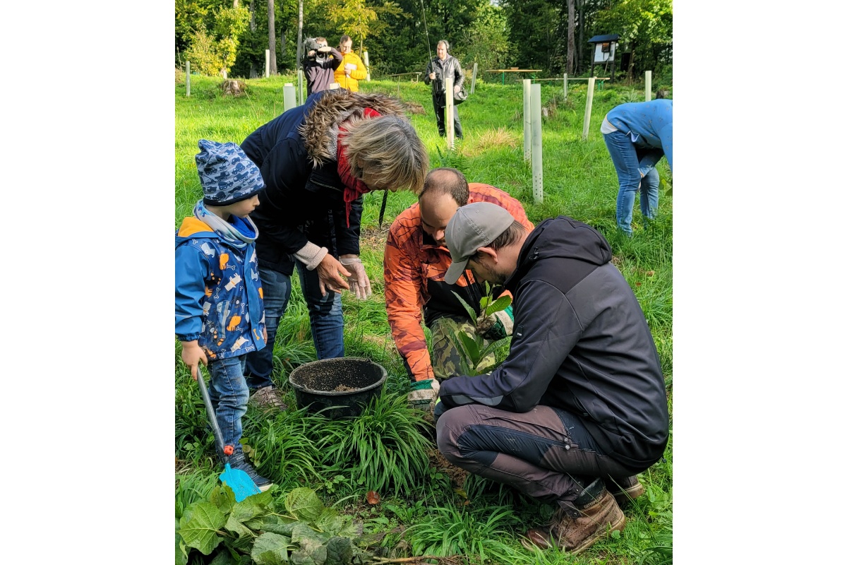 Forstwirtschaftsmeister Sebastian Schmidt (in Orange) untersttzte beim Pflanzen. (Foto: Stadt Bendorf)