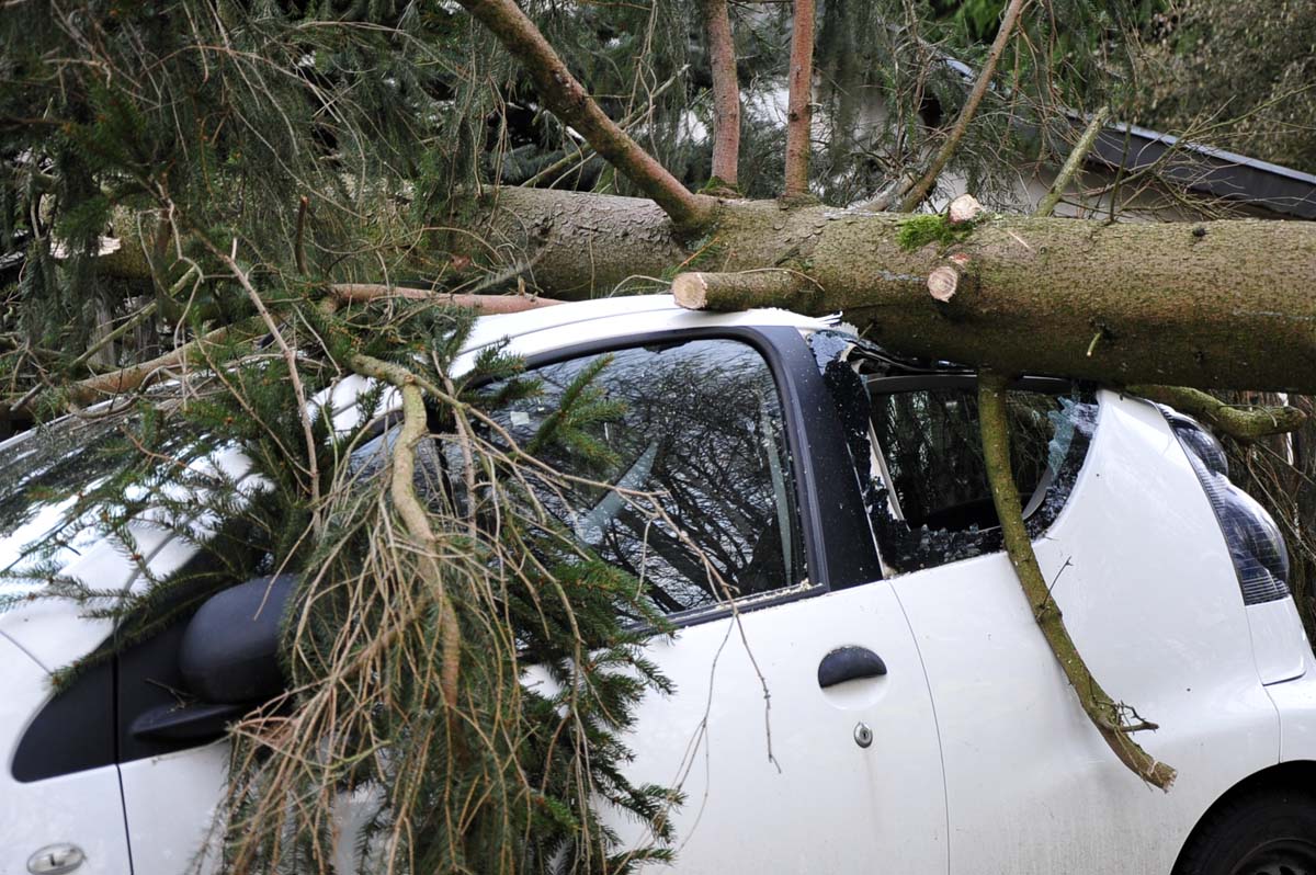 Alarm fr den Lschzug Weyerbusch: Umstrzender Baum landet auf geparktem PKW 