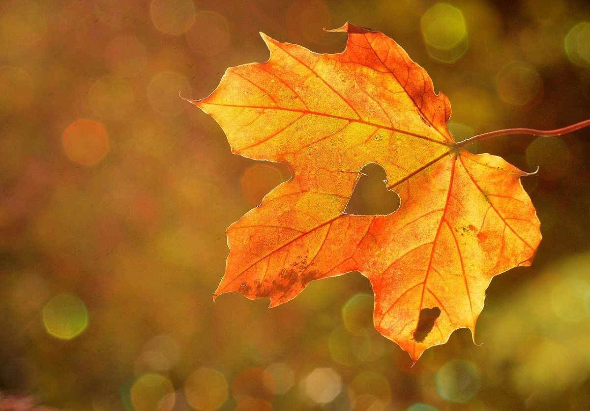 Herbstferienbetreuung der Stadt Bendorf: Anmeldung bis Ende September