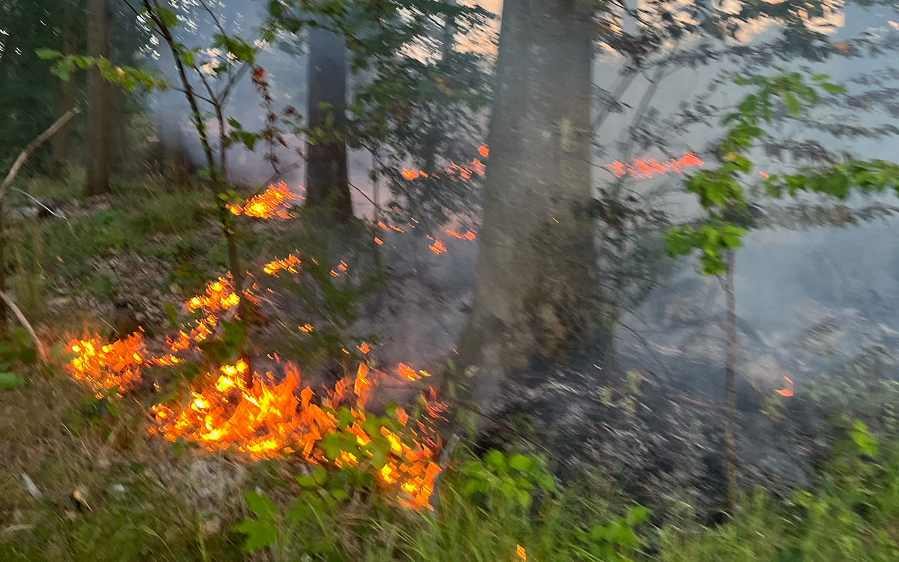 Im Bereich des Wasserhochbehlters kam es zu einem Waldbrand. (Foto: FF VG Betzdorf-Gebhardshain)