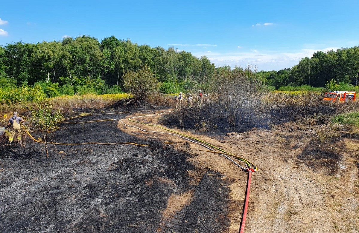 Flchenbrand bei Jungfernhof (Neustadt): Rund 2.000 Quadratmeter Gebsch und Wiese brennen